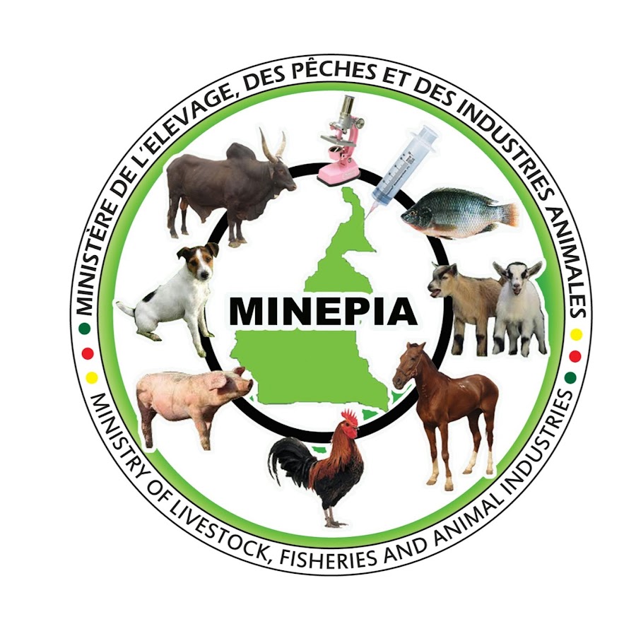 minepia